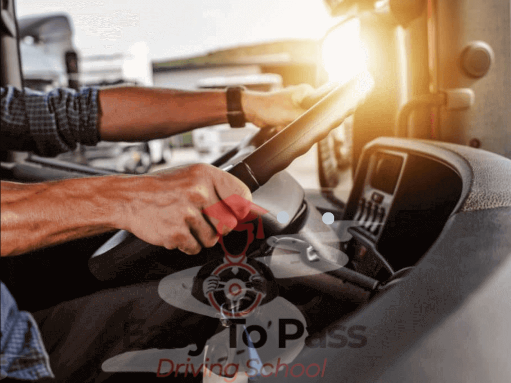A picture with driver's hands